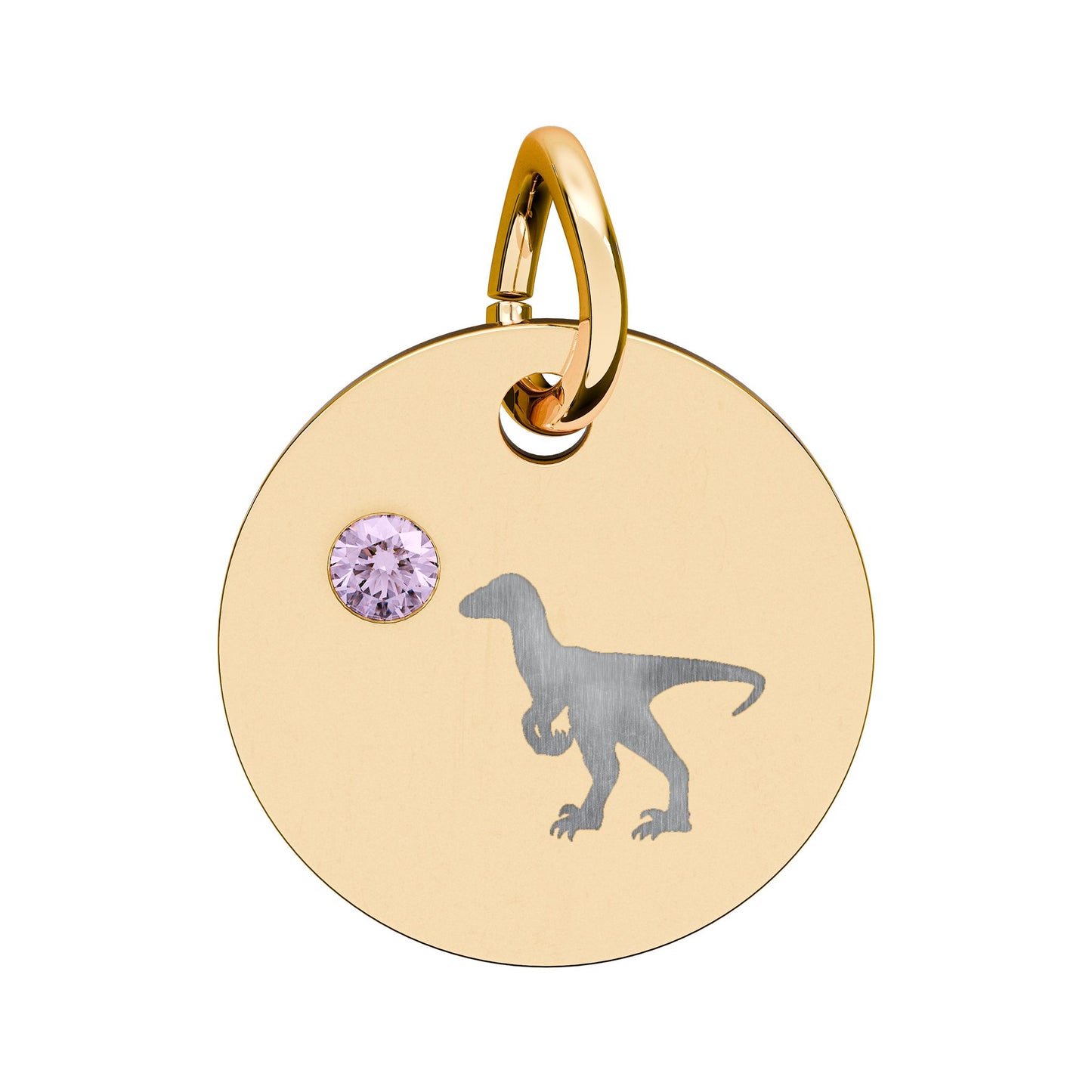 Birthstone Circle Charm — Engraved Dinosaur Silhouette Pendant