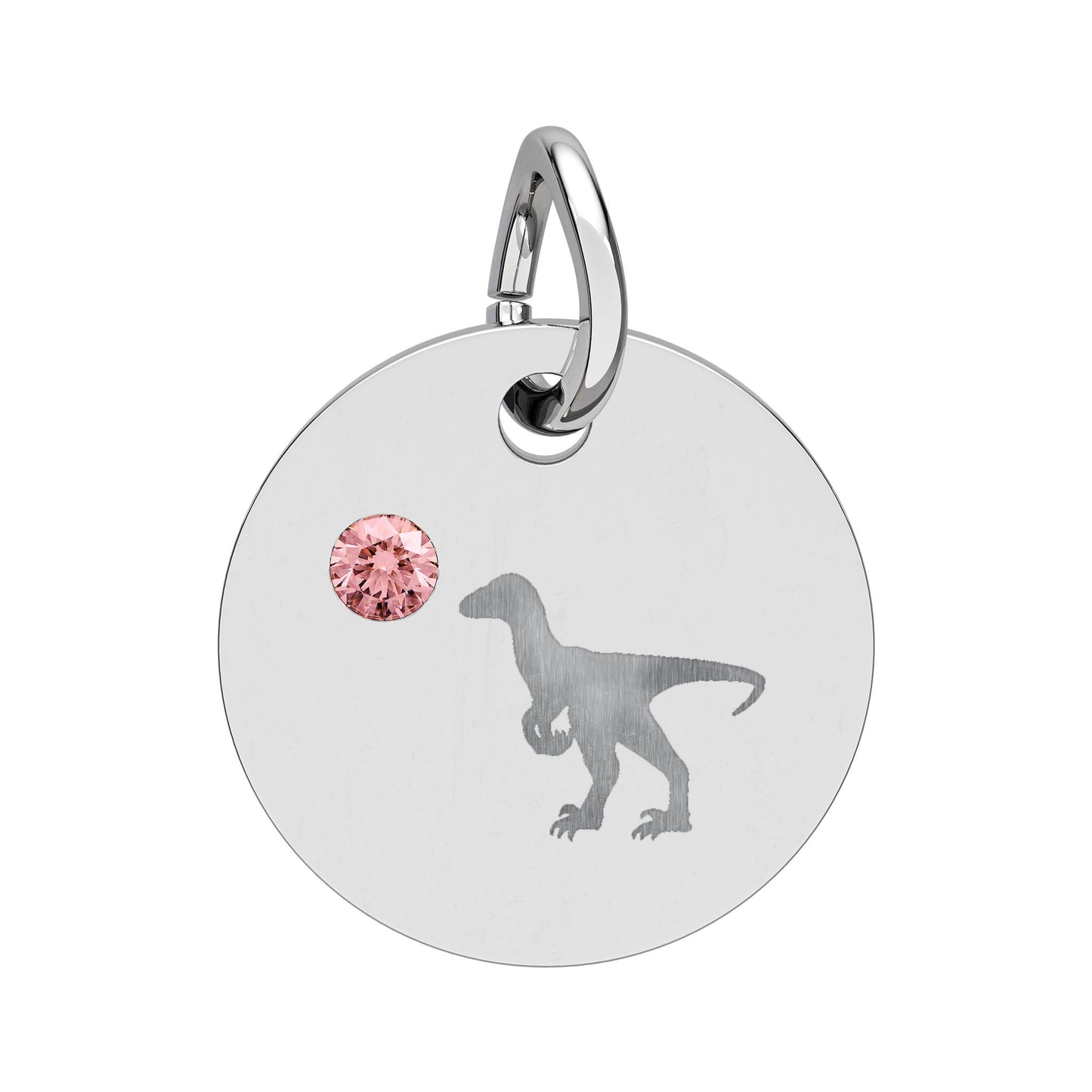 Birthstone Circle Charm — Engraved Dinosaur Silhouette Pendant