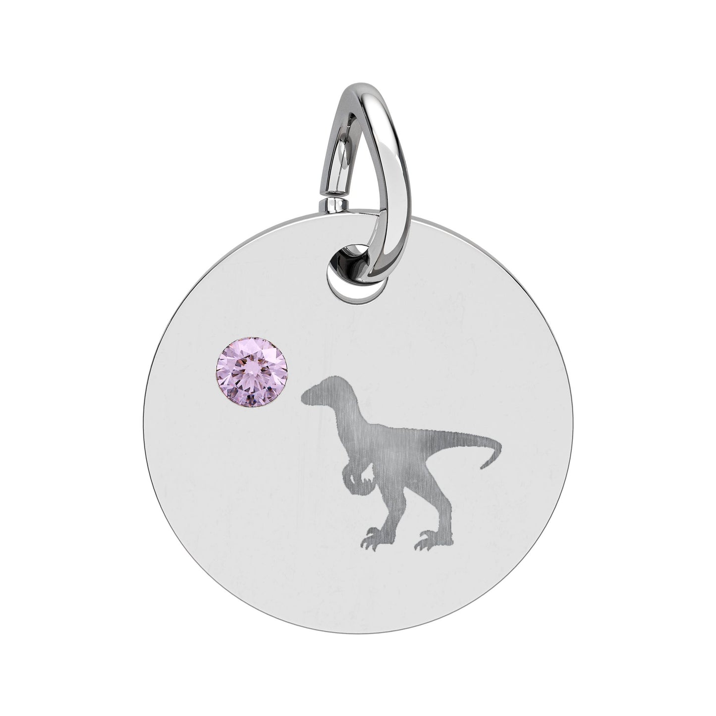 Birthstone Circle Charm — Engraved Dinosaur Silhouette Pendant