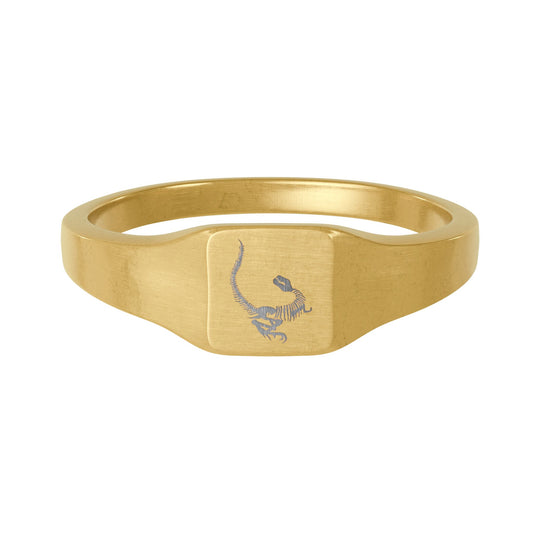 Dinosaur Fossil Gold Square Signet Ring — 18K Gold Stainless Steel