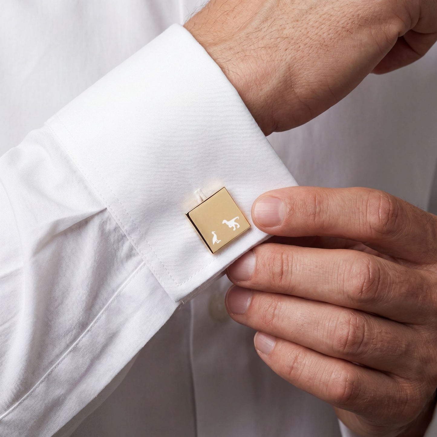 Square Cufflinks Bird and Raptor Silhouette Men's Formal Accessory