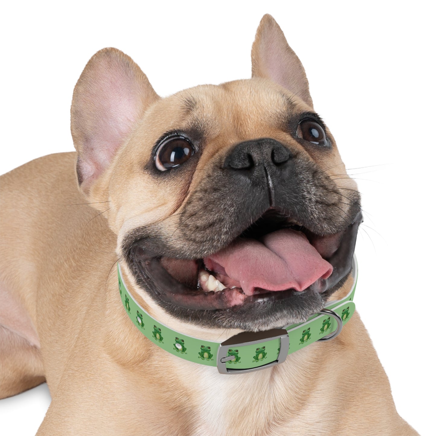 Frog Pattern Dog Collar — Waterproof TPU Pet Collar