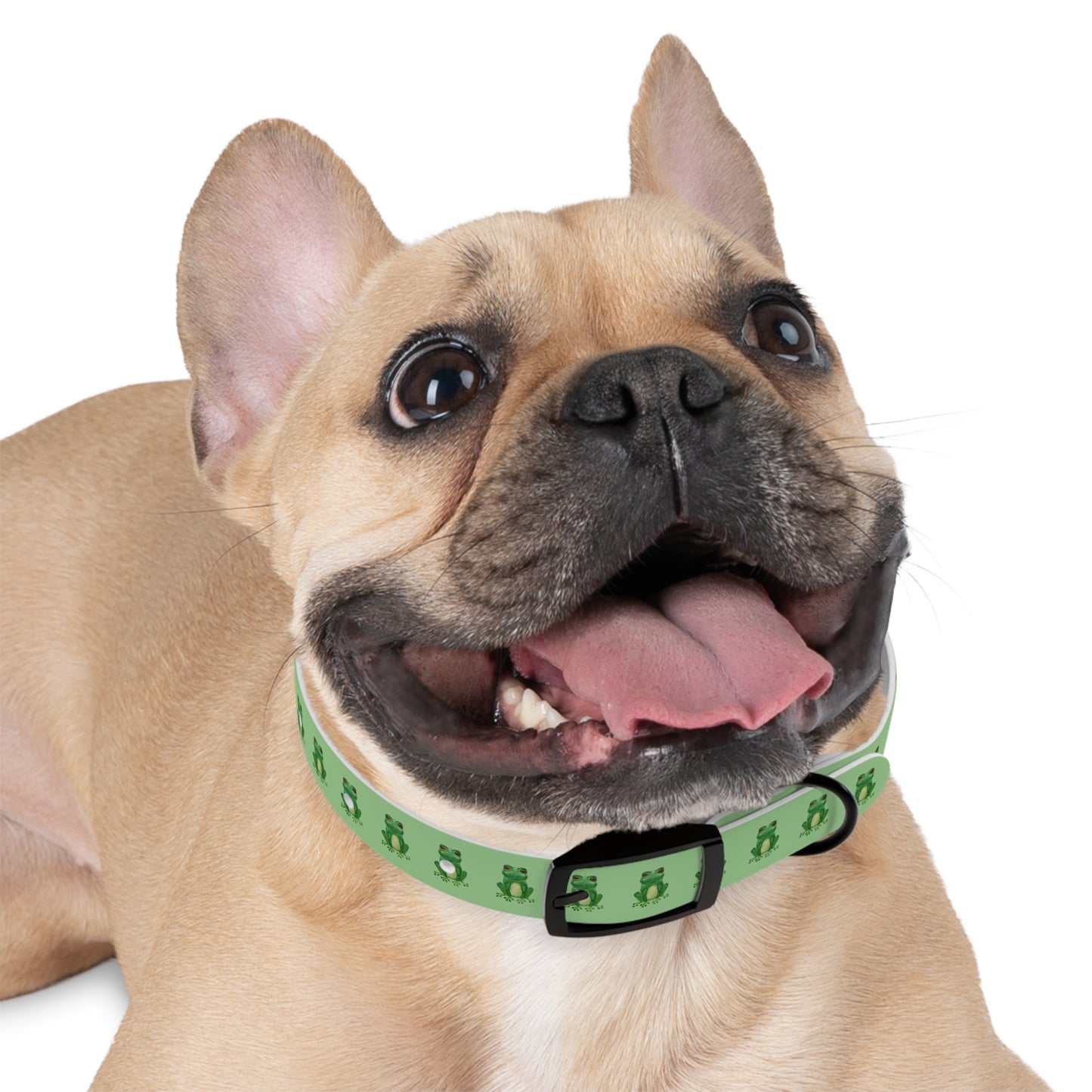 Frog Pattern Dog Collar — Waterproof TPU Pet Collar