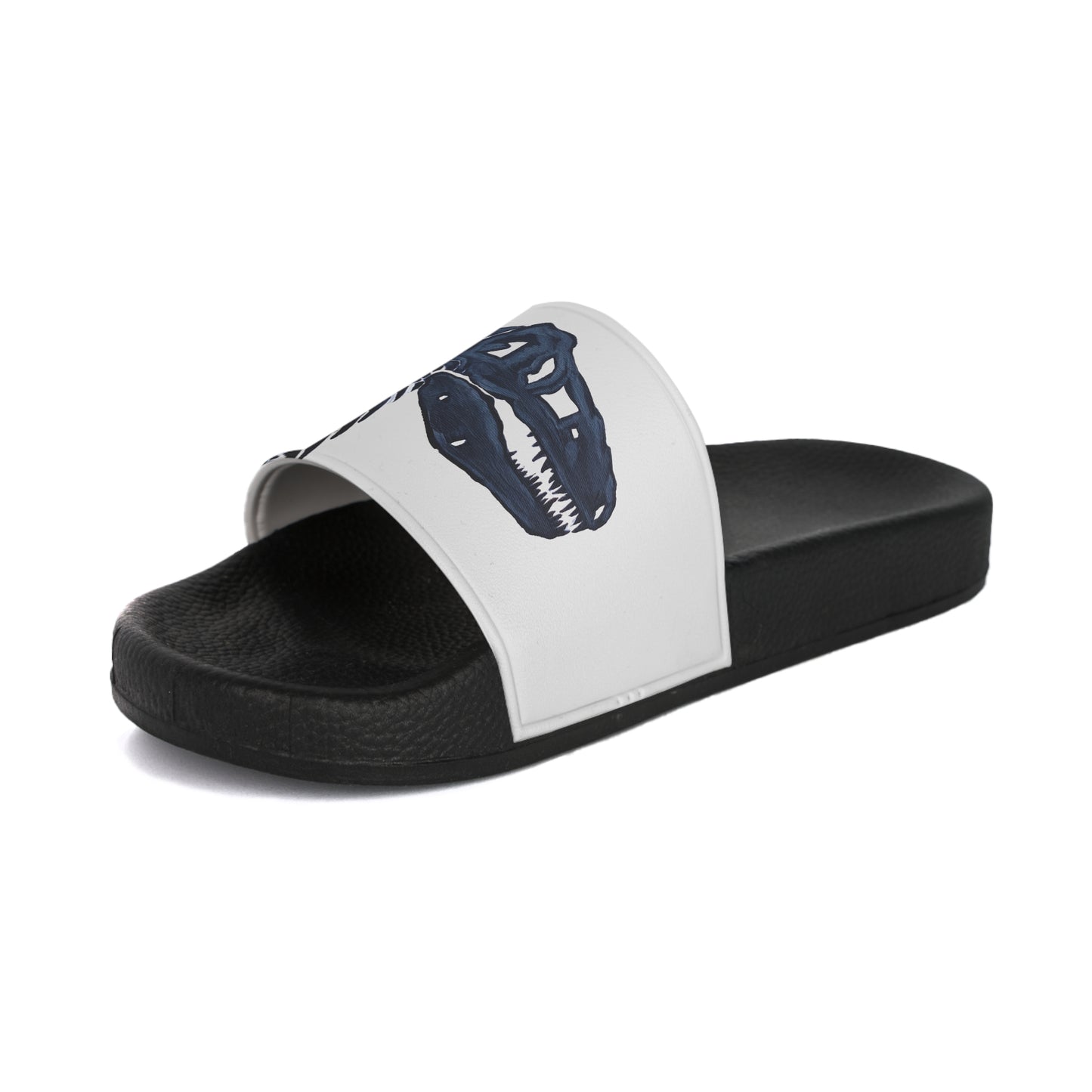 T. Rex Print Women’s Slide Sandals — Fun Summer Beach Slides