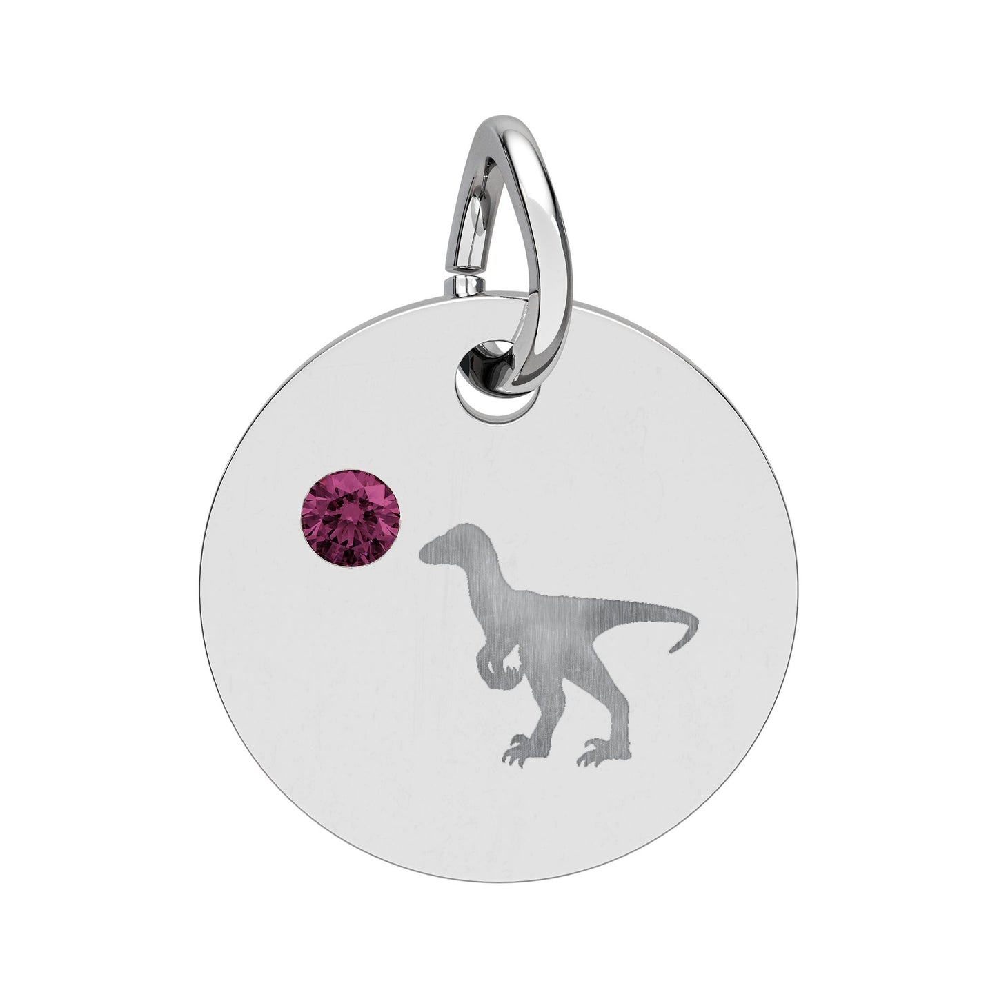 Birthstone Circle Charm — Engraved Dinosaur Silhouette Pendant