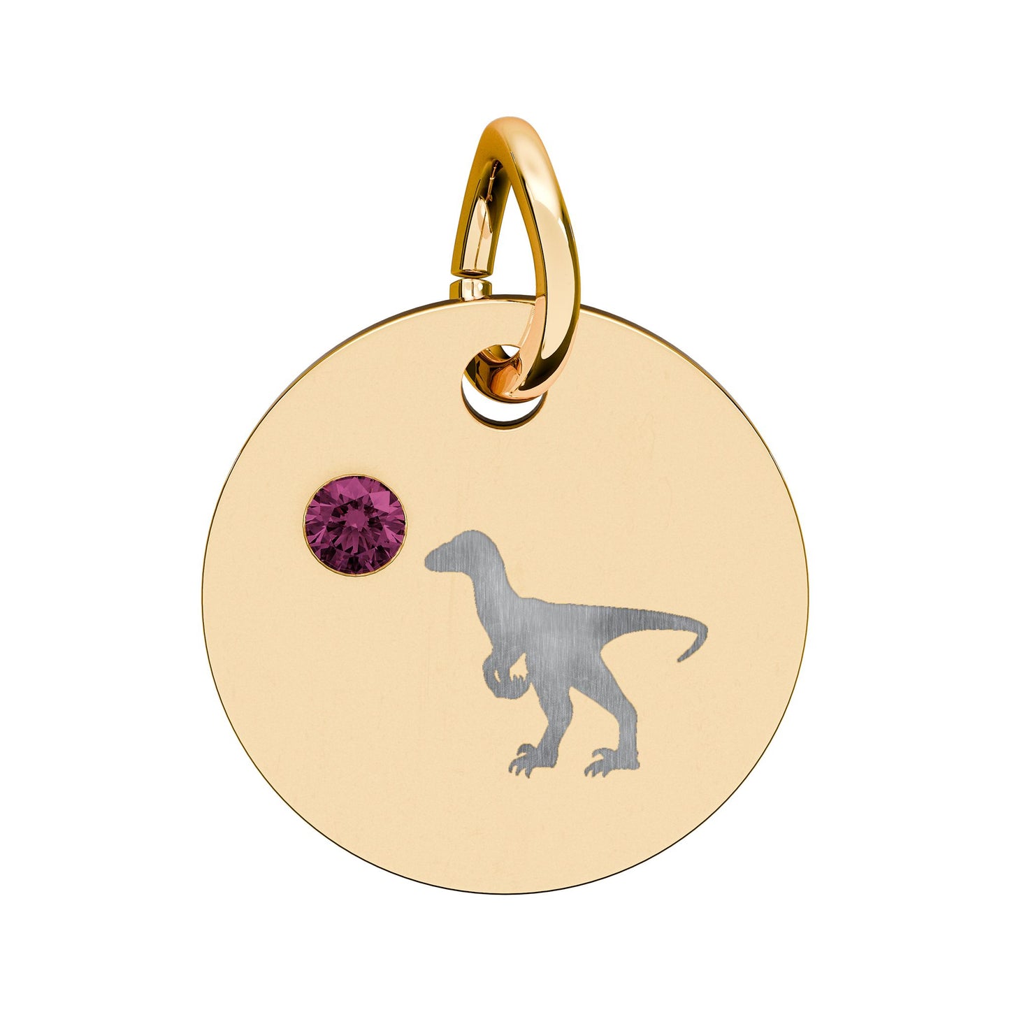 Birthstone Circle Charm — Engraved Dinosaur Silhouette Pendant