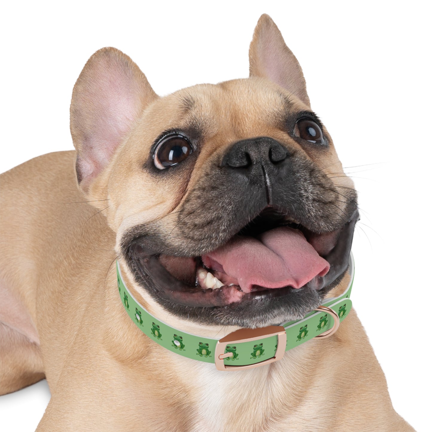 Frog Pattern Dog Collar — Waterproof TPU Pet Collar