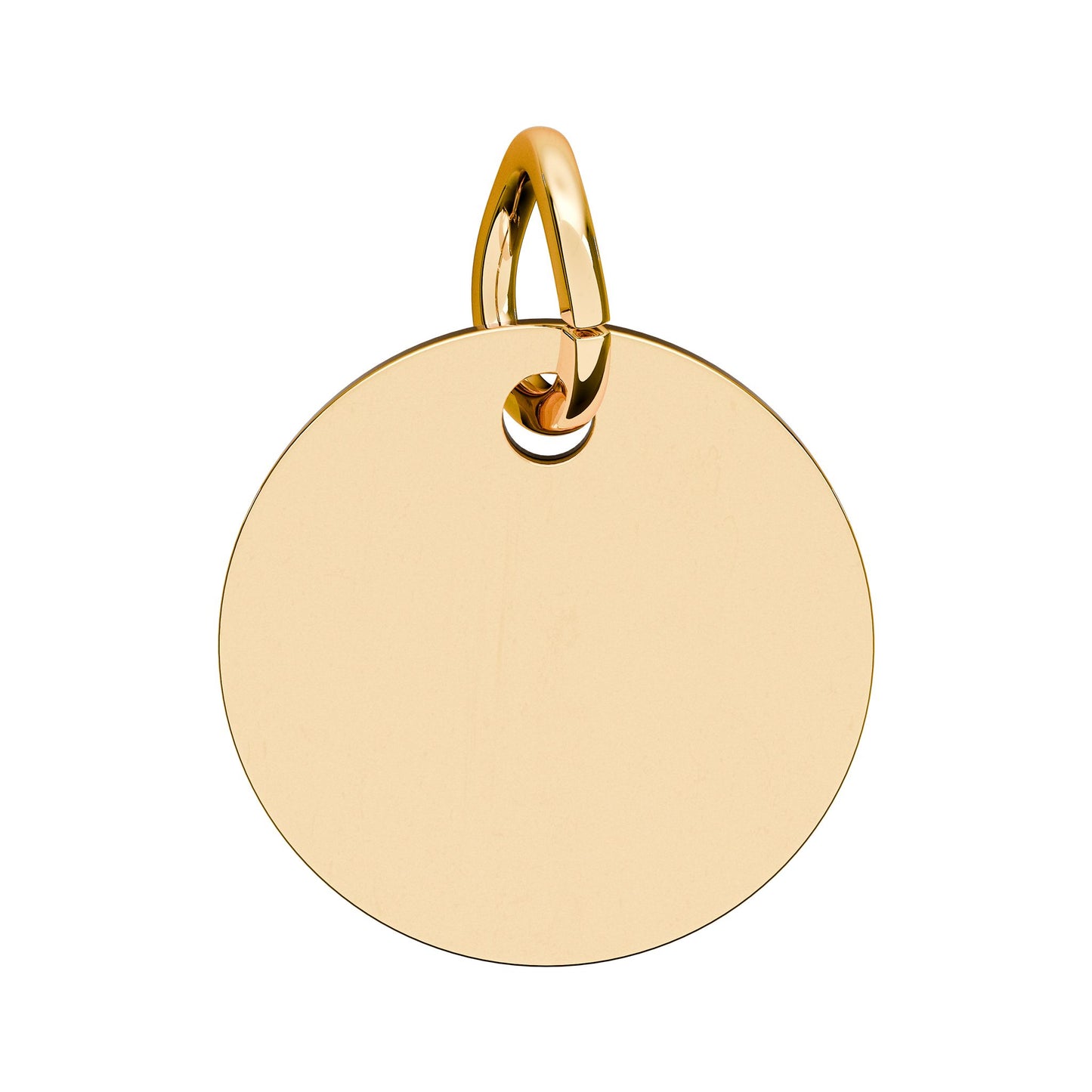 Birthstone Circle Charm — Engraved Dinosaur Silhouette Pendant